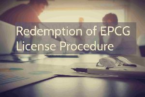 Applications and Redemption of EPCG License Services