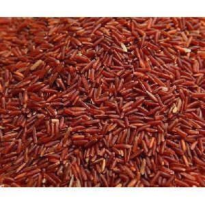 Red rice