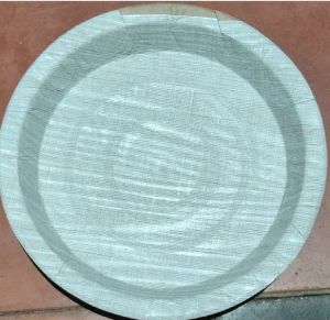 12 Inch Paper Plate