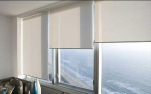 Sunscreen Roller Blinds