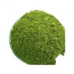 Dehydrated Coriander Leaves Powder