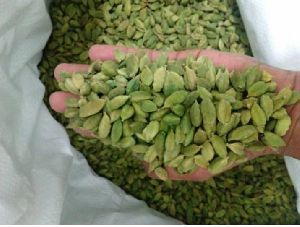 Green Cardamom