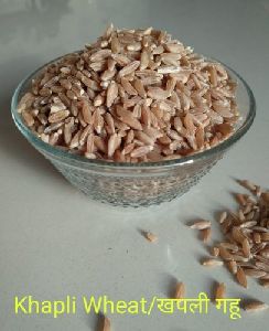 Khapli Wheat Seeds