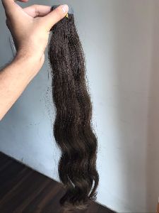 Human Hairs