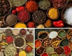 spices masala