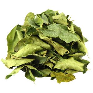 Dried Curry Leaves