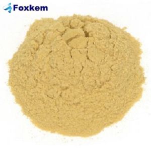 Yeast Extract Powder