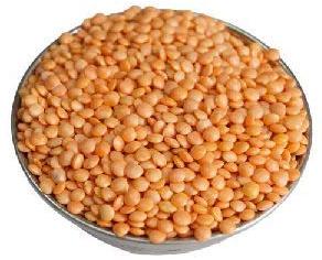 Masoor Dal