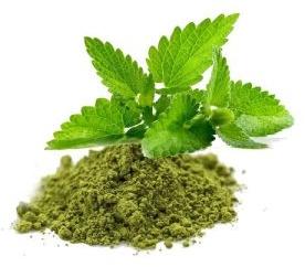 Tulsi Powder