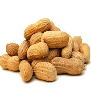 Dried Peanuts