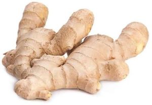 fresh brown ginger