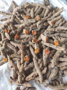 Kora Turmeric Finger