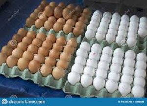 fresh farm eggs