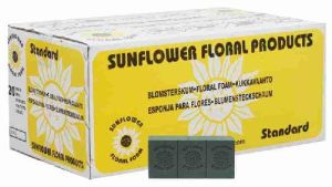 SUNFLOWER STANDARD FOAM