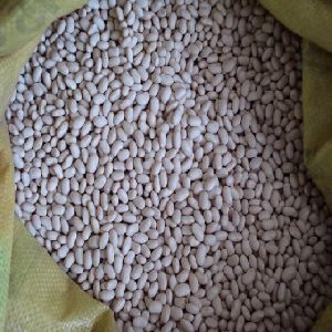 White Kidney Beans