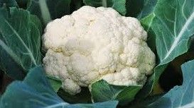 Cauliflowers