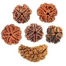 Rudraksha Beads