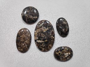 turtela cabochon gemstone