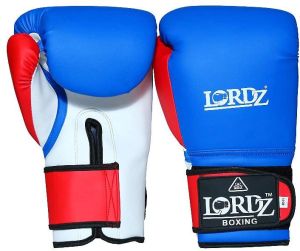 LORDZ TREO BOXING GLOVES