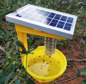 solar light trap