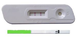 Rapid Diagnostic Pregnancy Kits