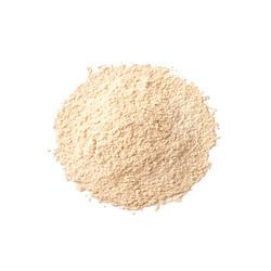 Organic Oyster Mushroom Powder