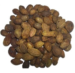 Terminalia Bellirica