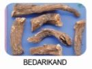 bedarikand