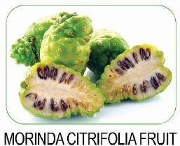 Morinda citrifolia fruit