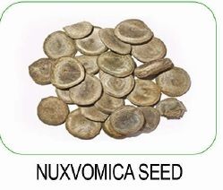 Nuxvomica Seed