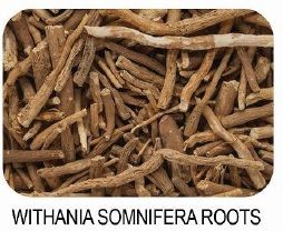 Withania Somnifera Roots