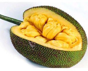 Fresh Jackfruit