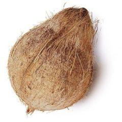 Semi Husked Coconut