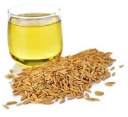 Rice Bran Oil