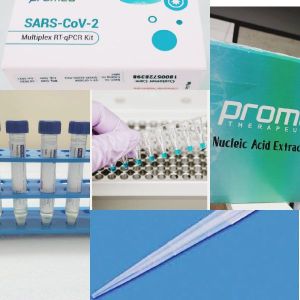 real time pcr kits