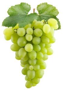 Fresh Green Grapes