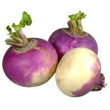 Fresh Turnip