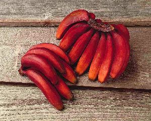 Red Banana