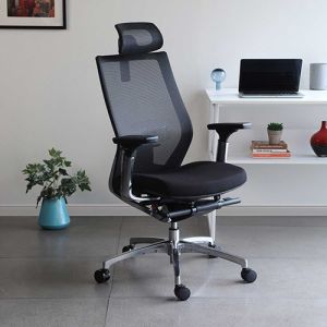 Lire Ergonomic Chair with 3D Armest in Black Colour