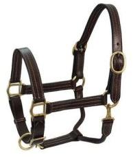 Horse Halter