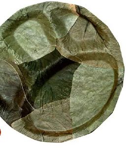 Sal Leaf Partition Plates