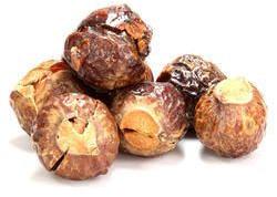 Soapnut Seeds