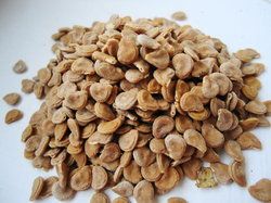 Stramonium Seeds