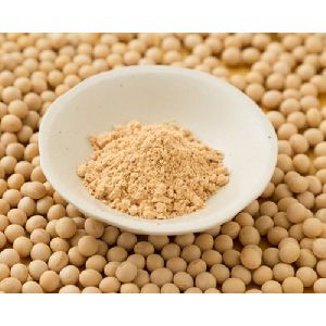 Soybean Flour