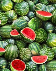 Fresh Watermelon