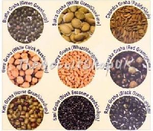 navadhanyam seeds