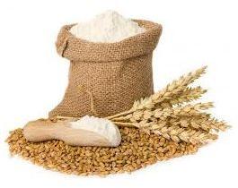 Organic Wheat Flour