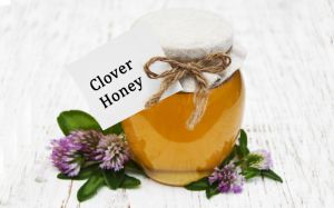 clover honey