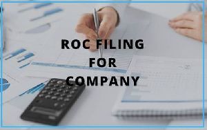 ROC Annual Return Filing Services