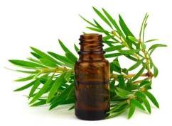 Tea Tree Essential Oil